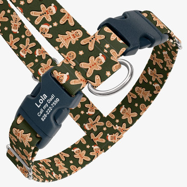 closeup view of harness with personalized buckle